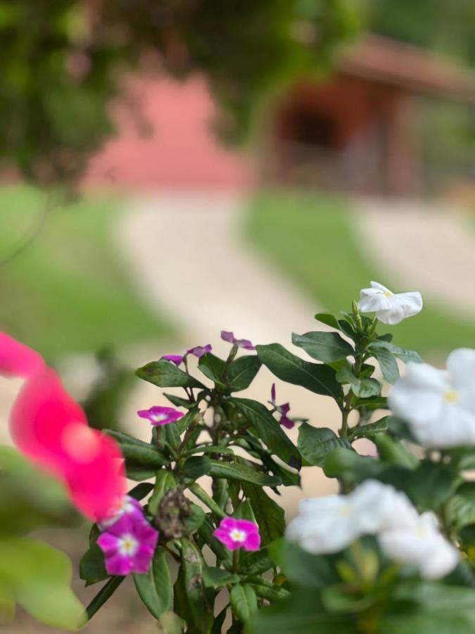 Recanto Da Roca Domingos Martins Exterior foto